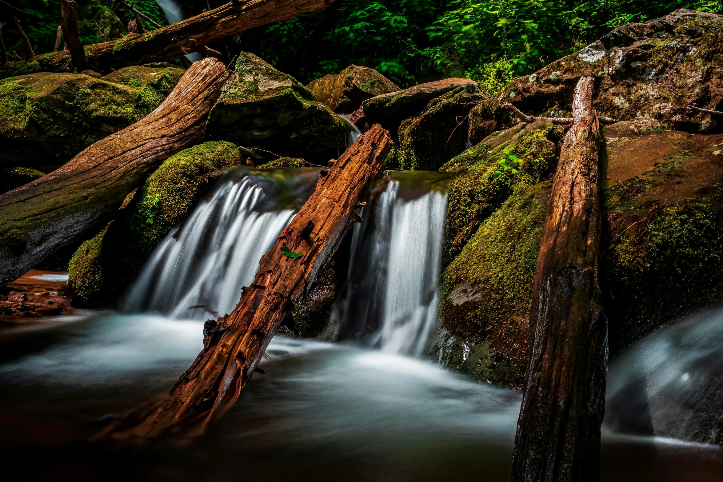 a stream running through a lush green forest, by Daniel Seghers, pexels contest winner, hurufiyya, tree stumps, floating waterfalls, thumbnail, brown