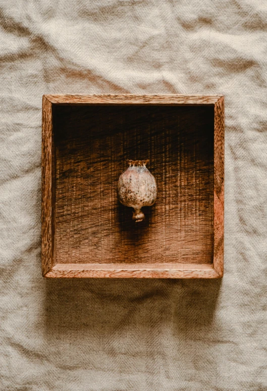 a close up of a small object in a wooden box, a still life, inspired by Eden Box, unsplash, visual art, square pictureframes, holding a bell, centered shot, well worn