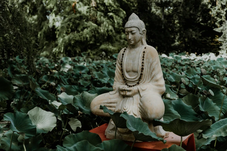 a statue of a person sitting in a lotus garden, a statue, pexels contest winner, kundalini energy, karma sutra, amongst foliage, wandering