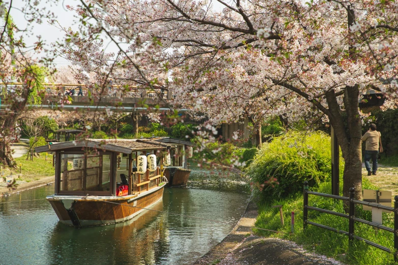 a boat traveling down a river next to a lush green forest, inspired by Tōshi Yoshida, pexels contest winner, shin hanga, cherry blossom trees, canals, 🚿🗝📝