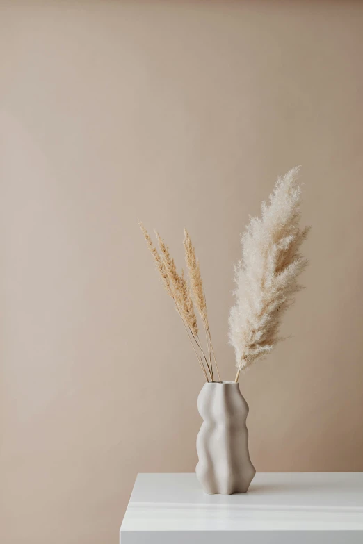 a white vase sitting on top of a white table, trending on pexels, bullrushes, curved. studio lighting, kailee mandel, high grain