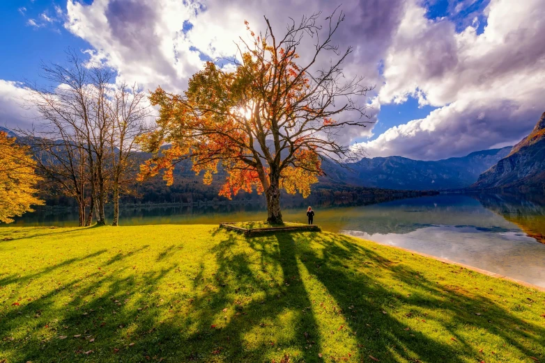 a bench sitting on top of a lush green field, by Sebastian Spreng, pexels contest winner, pink tree beside a large lake, autumn sunlights, conde nast traveler photo, autumn mountains