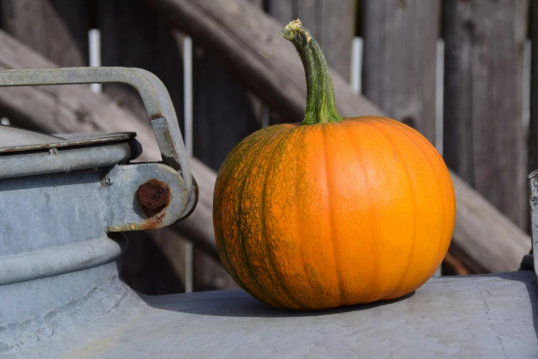 a pumpkin sitting on top of a metal container, unsplash, 🦩🪐🐞👩🏻🦳, slide show, watering can, high resolution image