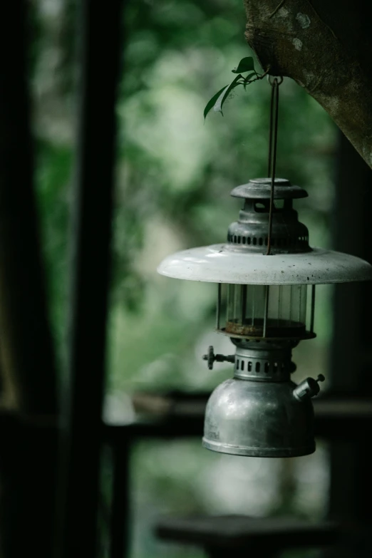 a lantern hanging from the side of a tree, unsplash, photorealism, lamp ( ( ( fish tank ) ) ) ), humid, antique, grey