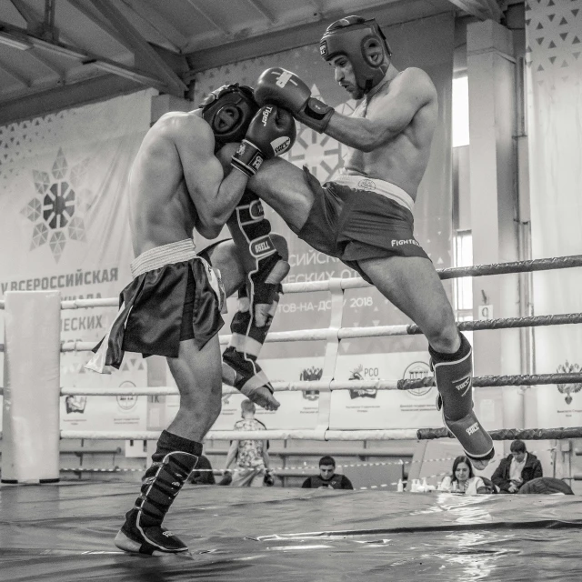 a couple of men standing next to each other on a boxing ring, by Ilya Ostroukhov, pexels contest winner, process art, high kick, 🌻🎹🎼, action with run and fight, orthodox