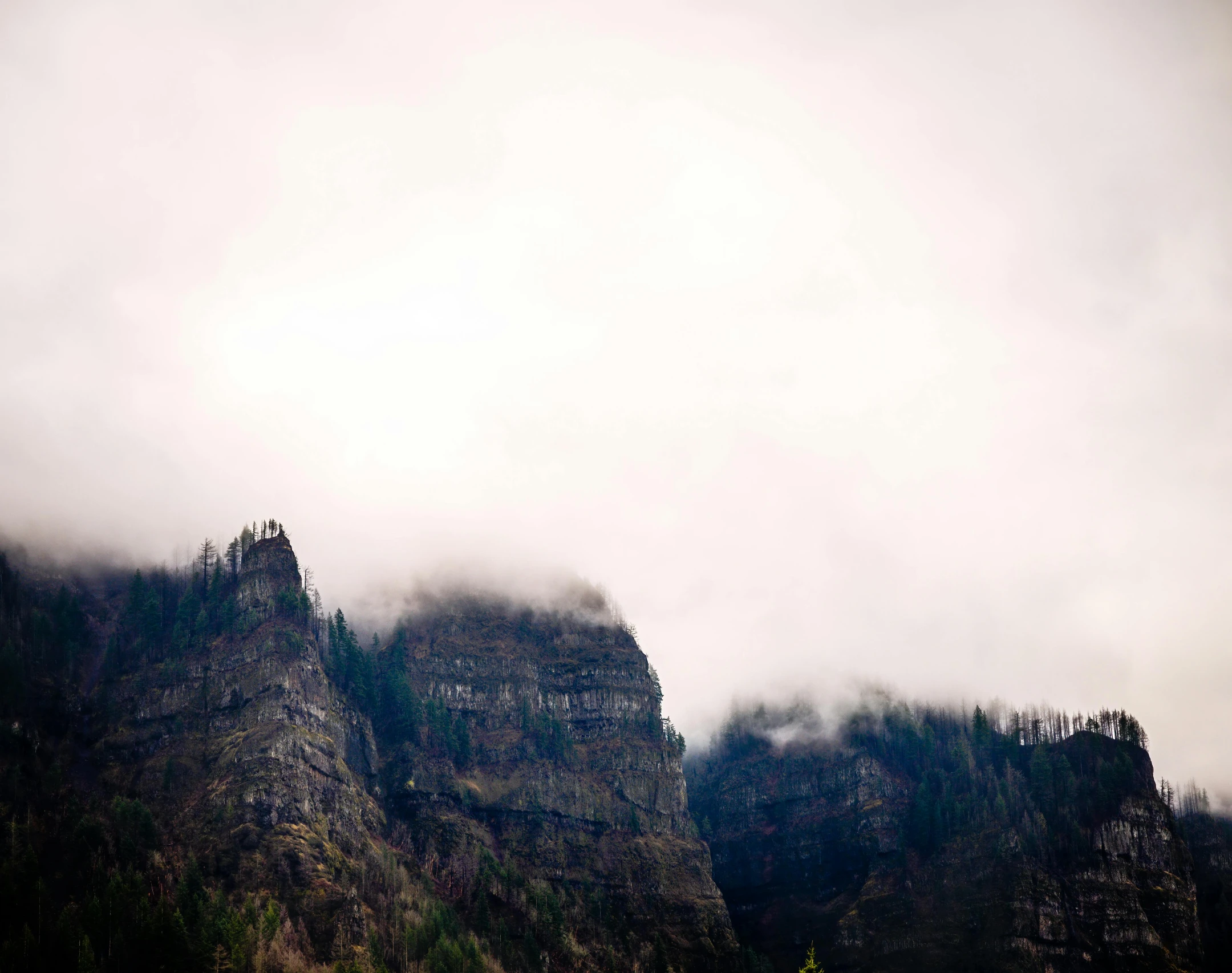 a group of people standing on top of a lush green hillside, a picture, by Matthias Weischer, unsplash, romanticism, ominous! landscape of north bend, fine art print, made of mist, brown