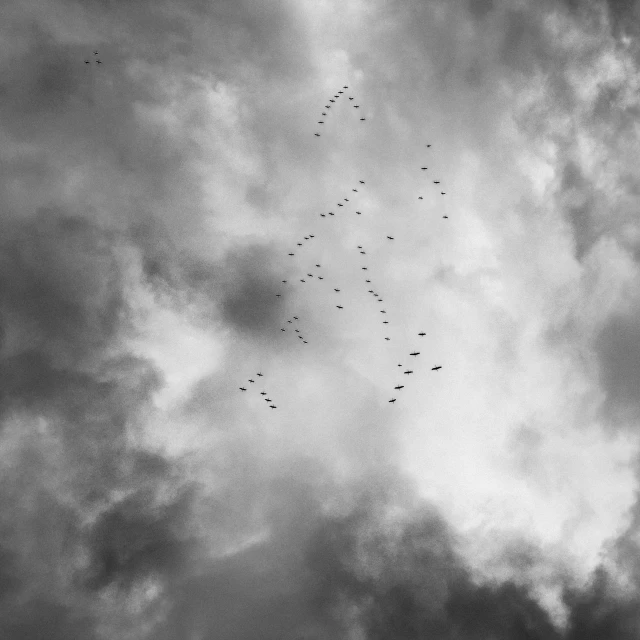 a flock of birds flying through a cloudy sky, an album cover, by Jan Kupecký, bw, parachutes, 27, arrival ( film )