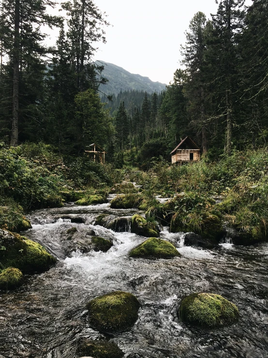 a stream running through a lush green forest, a picture, by Anna Haifisch, pexels contest winner, log cabin beneath the alps, 2 5 6 x 2 5 6 pixels, shot on iphone 6, camp
