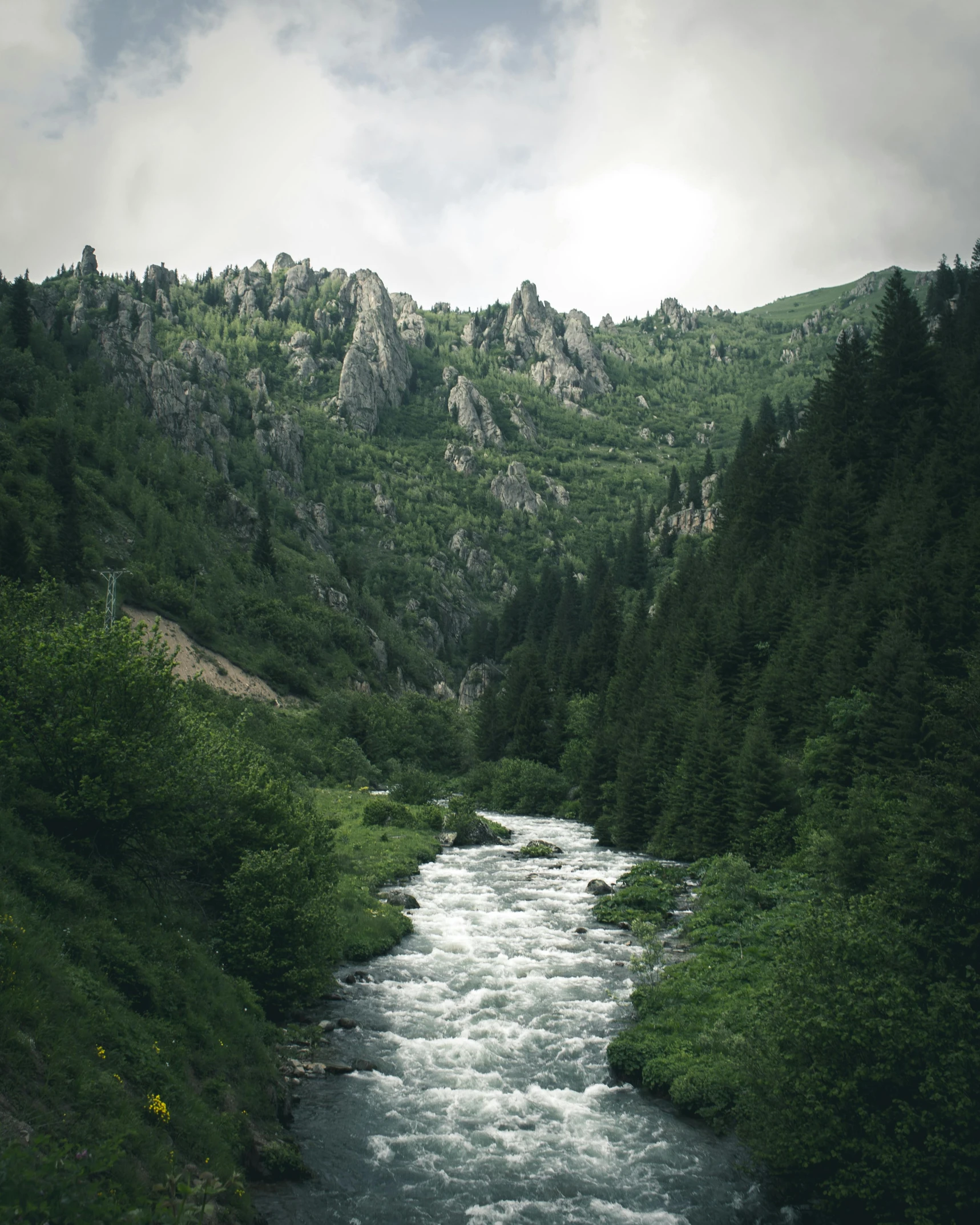 a river running through a lush green forest, an album cover, by Muggur, pexels contest winner, carpathian mountains, grey, rocky hills, historical photo