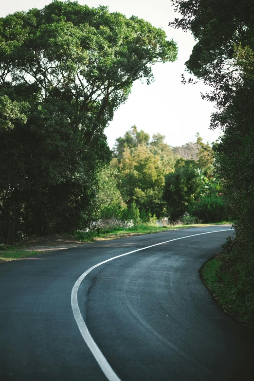 a curved road with trees on both sides, unsplash, tamborine, 3 5 mm slide, the city of santa barbara, motorbike