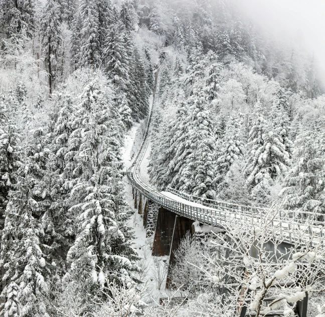 a train traveling through a snow covered forest, inspired by Otto Meyer-Amden, pexels contest winner, high bridges, gray, overview, white