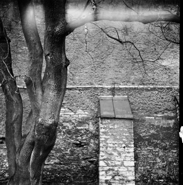 a black and white photo of a bench under a tree, a black and white photo, inspired by Katia Chausheva, conceptual art, windows and walls :5, holga hasselblad, city wall, ( ( photograph ) )