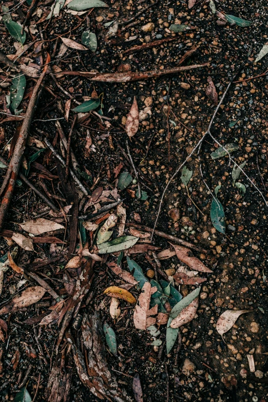 a yellow fire hydrant sitting on top of a dirt field, an album cover, by Elsa Bleda, trending on unsplash, environmental art, made of leaves, debris on the floor, a screenshot of a rusty, dark muted colors