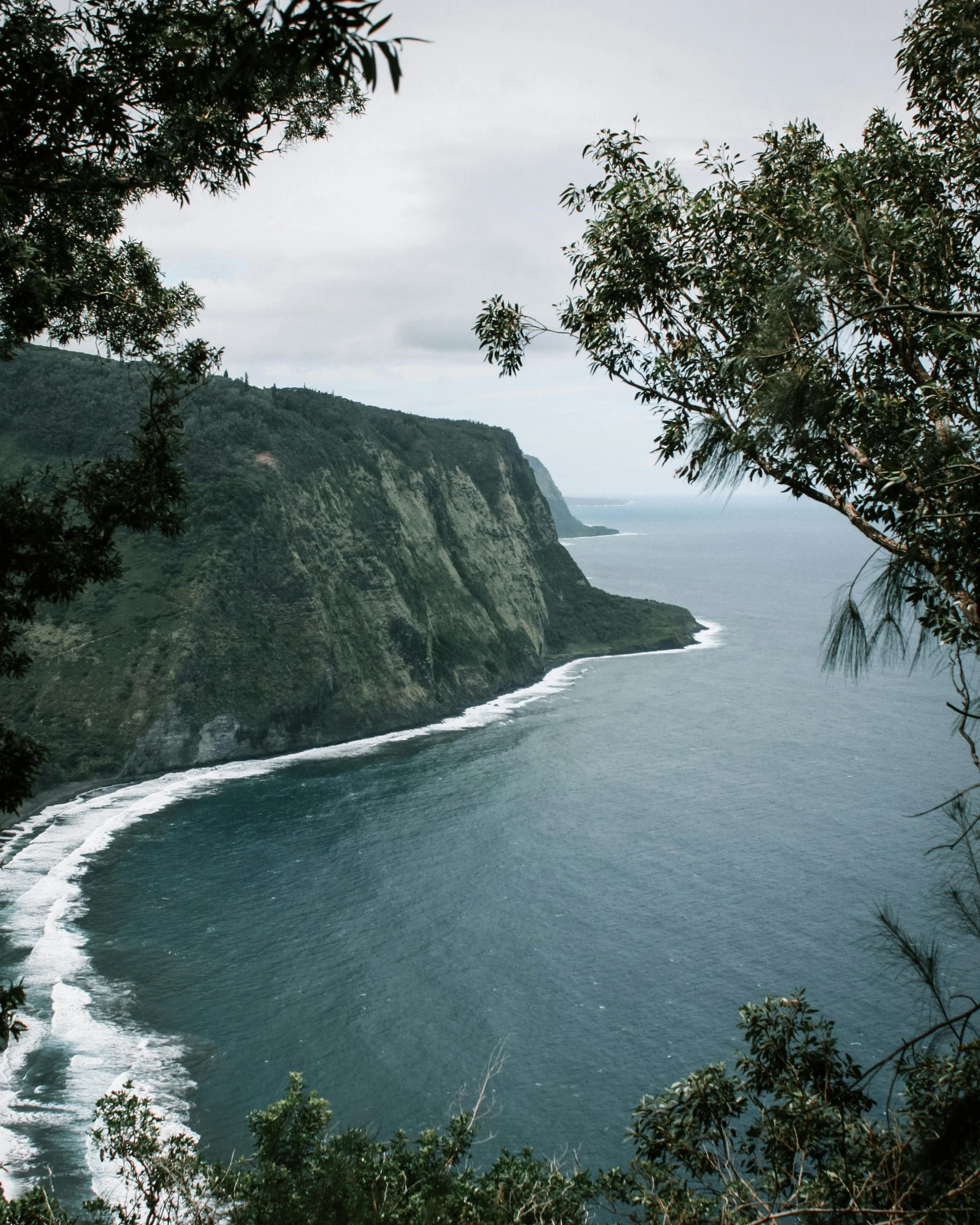 a large body of water next to a lush green hillside, by Daniel Lieske, pexels contest winner, big island, ocean cliff view, bella poarch, eucalyptus