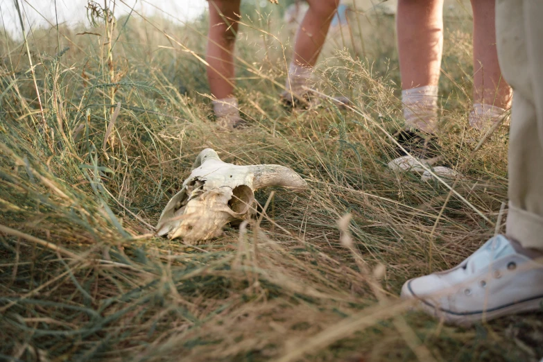 a couple of people standing on top of a grass covered field, an album cover, by Attila Meszlenyi, unsplash, land art, animal skull, found objects, feet on the ground, ((skull))