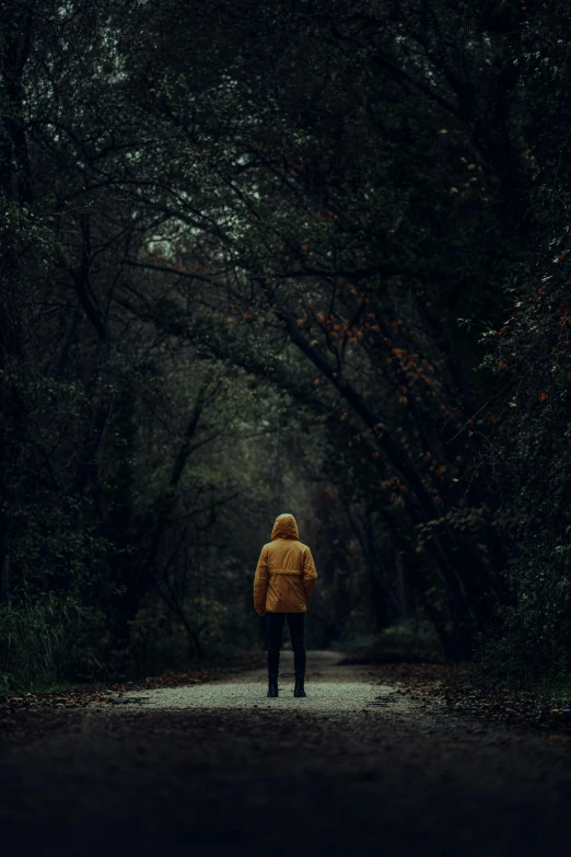 a person standing in the middle of a forest, wearing a yellow hoodie, dark road, dark backround, a park