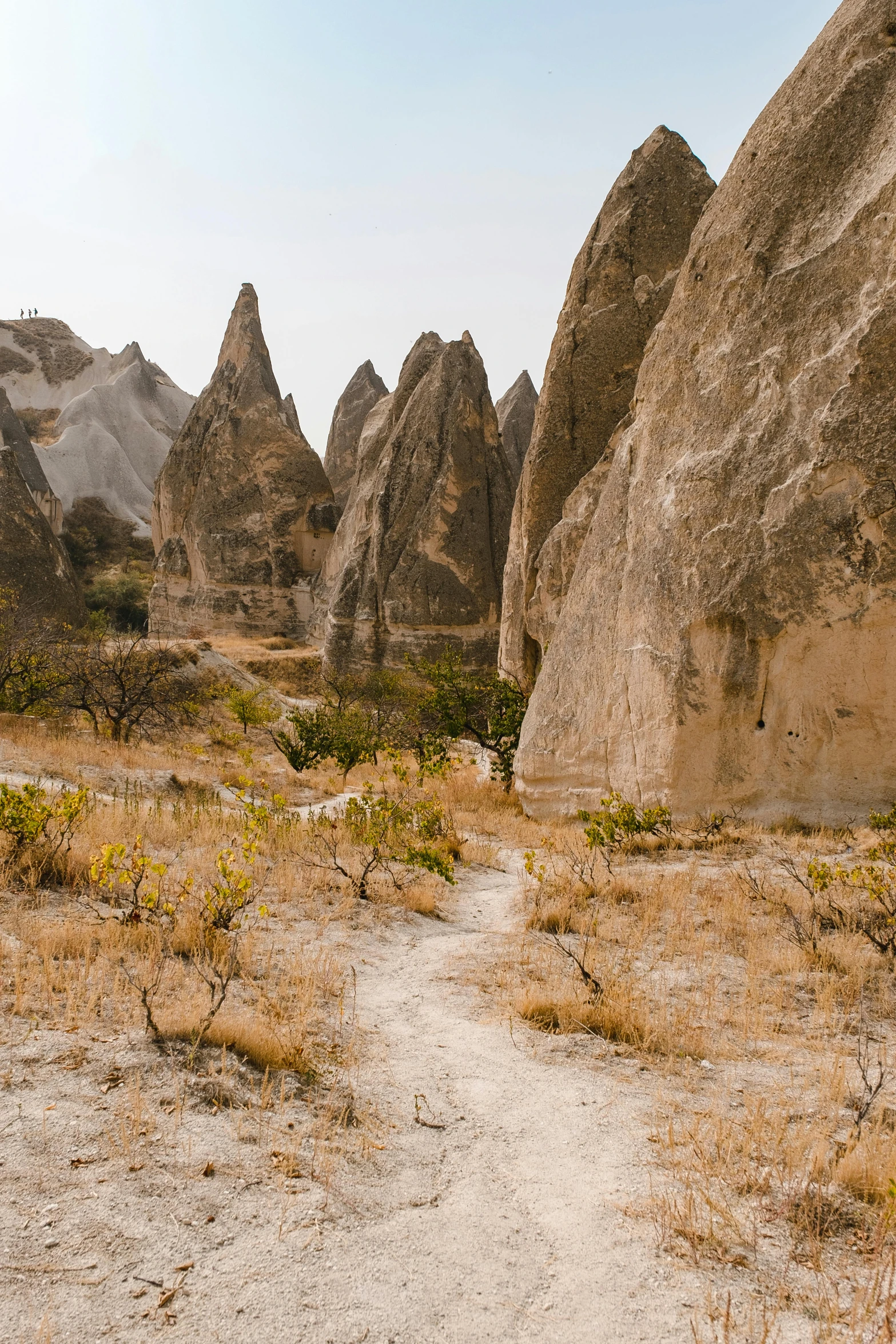 a dirt path in the middle of a desert, baroque, tall stone spires, turkey, trees and cliffs, up-close