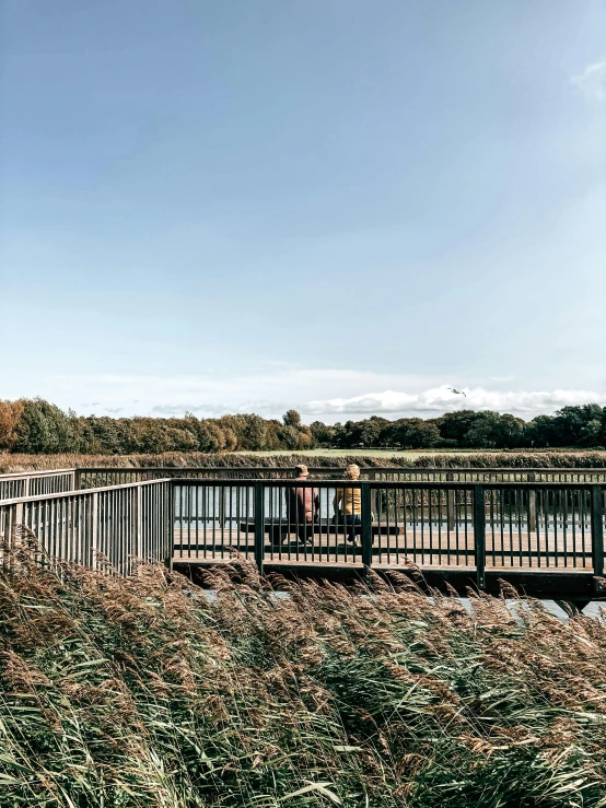 a couple of people that are standing on a bridge, a picture, by Rachel Reckitt, unsplash, phragmites, at the park on a beautiful day, low quality photo, thumbnail