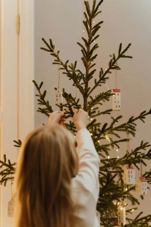 a little girl standing in front of a christmas tree, by Julia Pishtar, pexels contest winner, folk art, seeds, tag, scandinavian style, medium closeup shot