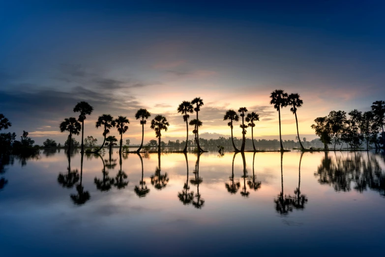 a large body of water surrounded by palm trees, a picture, by Andries Stock, unsplash contest winner, floating trees, calm evening, thawan duchanee, v - ray collection