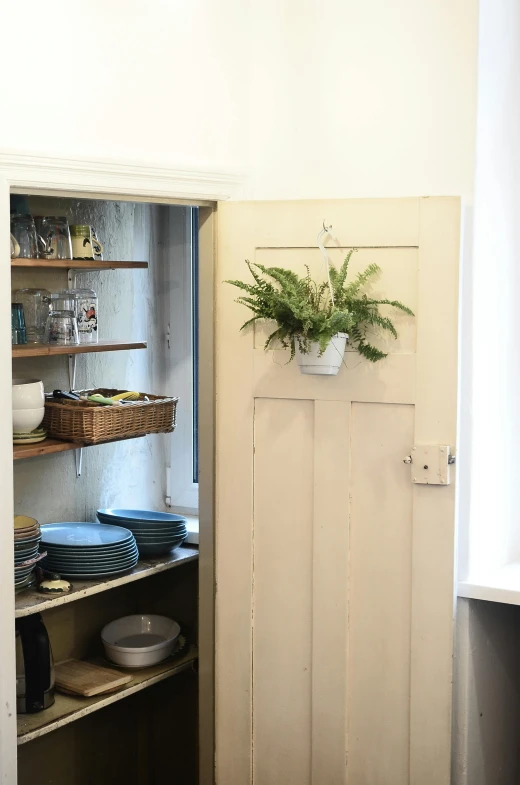 a kitchen with a door open to a pantry, featured on pinterest, arts and crafts movement, overgrown with huge ferns, battered, clean and simple, the store