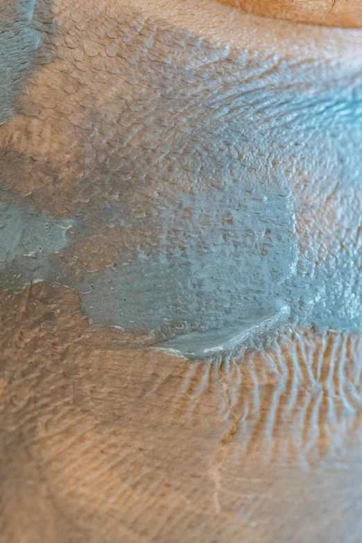 a close up of a plate of food on a table, an ultrafine detailed painting, inspired by Vija Celmins, trending on reddit, lyrical abstraction, human skin texture, blue chrome top hippo body, sand swirling, face macro shot