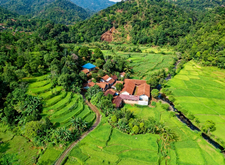 a village in the middle of a lush green valley, pexels contest winner, sumatraism, white buildings with red roofs, thumbnail, helicopter view, lush farm lands