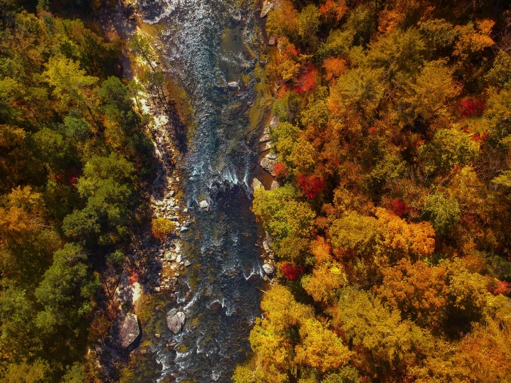 a river running through a lush green forest, pexels contest winner, hudson river school, red orange and yellow leaves, helicopter view, thumbnail, 90s photo