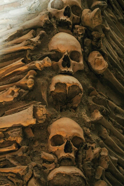 a bunch of skulls stacked on top of each other, by Adriaen Hanneman, renaissance, stalactites, slide show, brown, award winning image