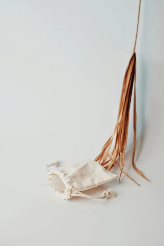 a pair of scissors sitting on top of a table, an album cover, by Helen Stevenson, unsplash, renaissance, white soft leather model, brown fringe, fluid bag, without text