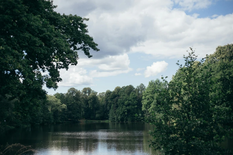 a large body of water surrounded by trees, inspired by Richmond Barthé, unsplash, hurufiyya, berlin park, 2000s photo, summer day, fan favorite