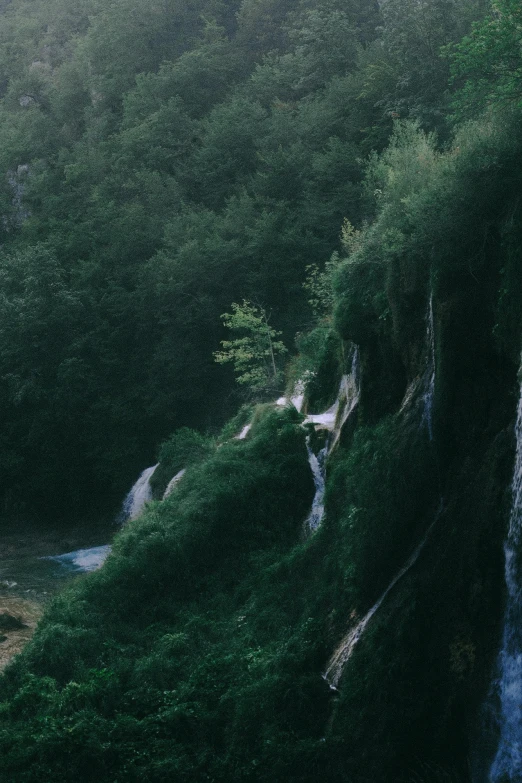a waterfall in the middle of a lush green forest, inspired by Elsa Bleda, unsplash contest winner, renaissance, panoramic view, staggered terraces, croatian coastline, low quality photo
