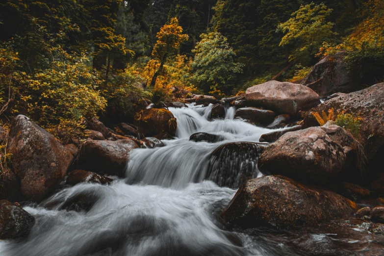 a stream running through a forest filled with rocks, unsplash contest winner, hurufiyya, 2 5 6 x 2 5 6 pixels, hyperrealistic fall, colorado, several waterfalls