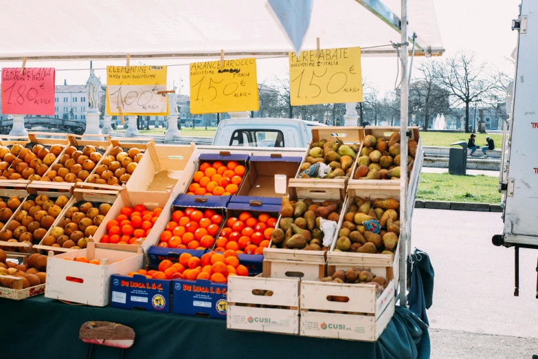 a farmers market filled with lots of fruits and vegetables, a photo, by Julia Pishtar, unsplash, chartreuse and orange and cyan, kiwi fruit, analogue photo, al fresco