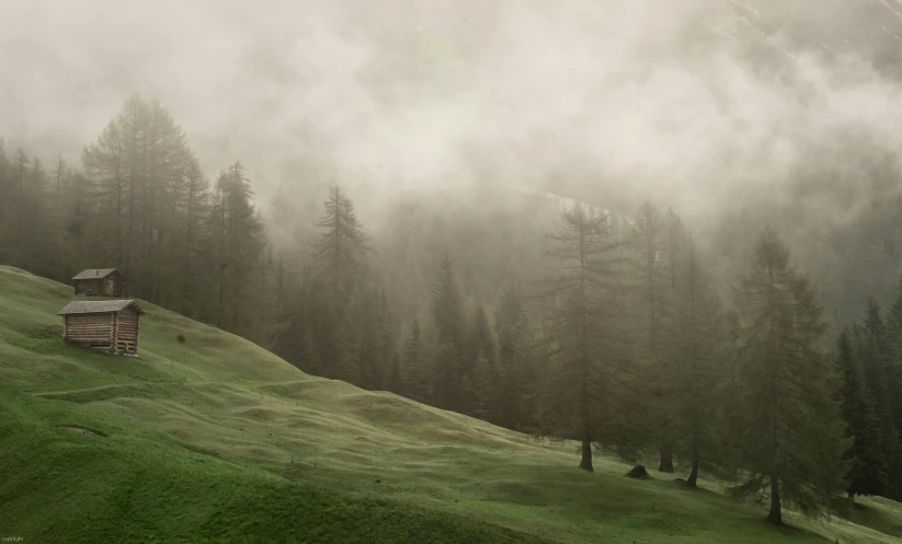 a small cabin sitting on top of a lush green hillside, inspired by Anna Füssli, pexels contest winner, tonalism, spruce trees, gray fog, italy, light ground fog