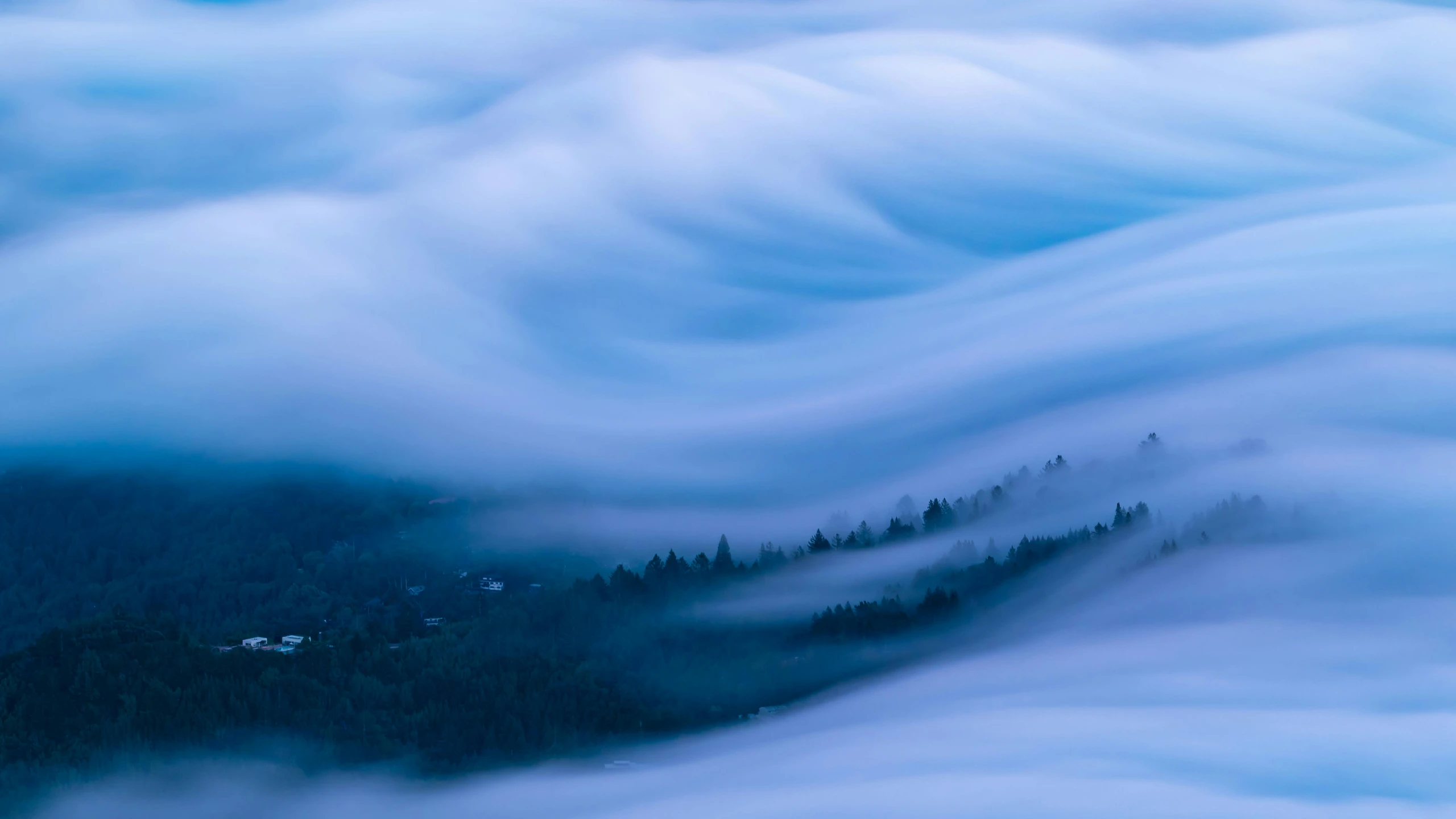 a group of trees sitting on top of a lush green hillside, an album cover, by Andrew Geddes, unsplash contest winner, romanticism, mystical blue fog, rippling fabric of reality, long exposure photograph, cafe in the clouds