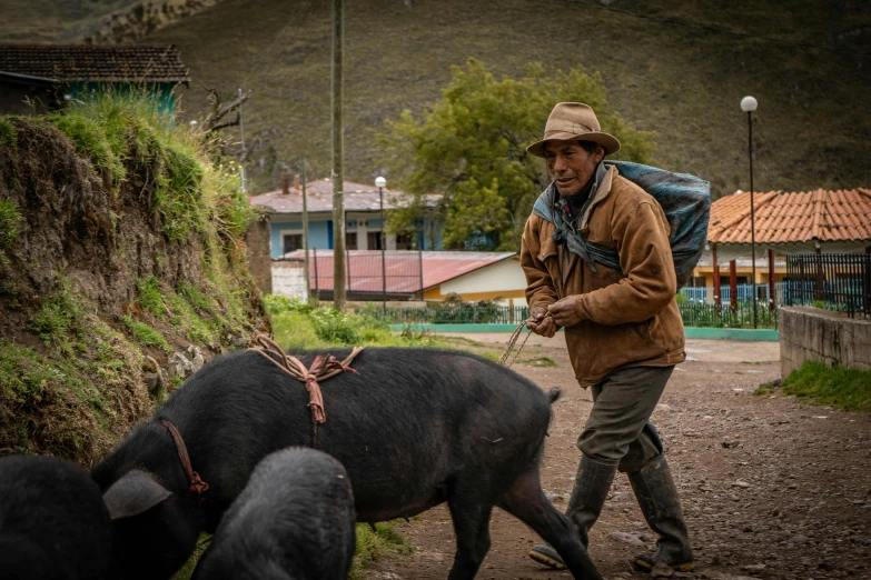 a man walking two black pigs down a dirt road, neo-andean architecture, avatar image