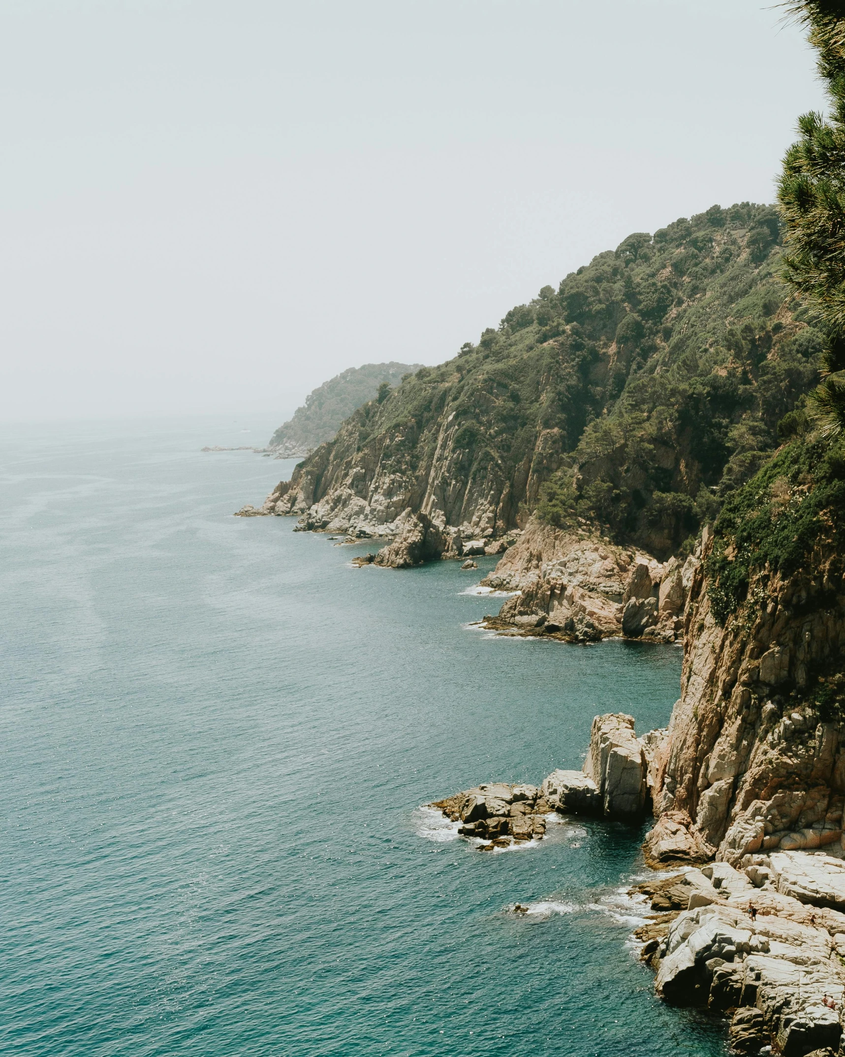 a large body of water next to a forest, unsplash contest winner, renaissance, in barcelona, coastal cliffs, slightly tanned, 2 5 6 x 2 5 6 pixels