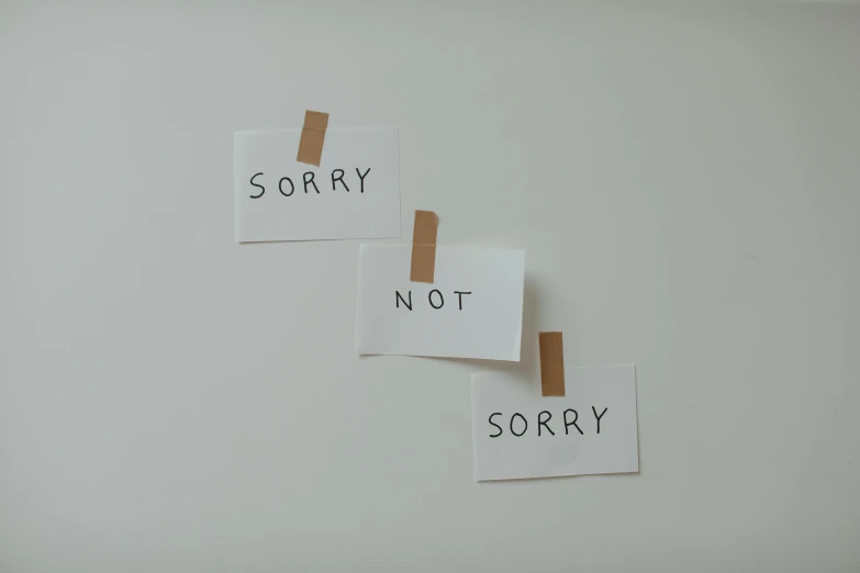 three sticky notes with the words sorry not sorry written on them, a picture, pexels, postminimalism, monia merlo, shot on sony a 7, minimalist photo, silver，ivory