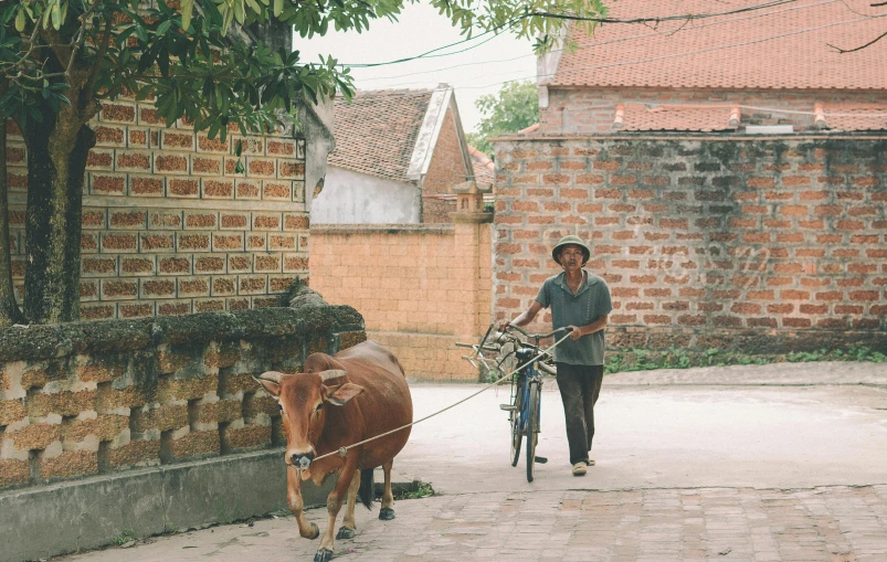 a man on a bike pulling a cow on a leash, pexels contest winner, quaint village, ben lo, 🦩🪐🐞👩🏻🦳, vsco film grain