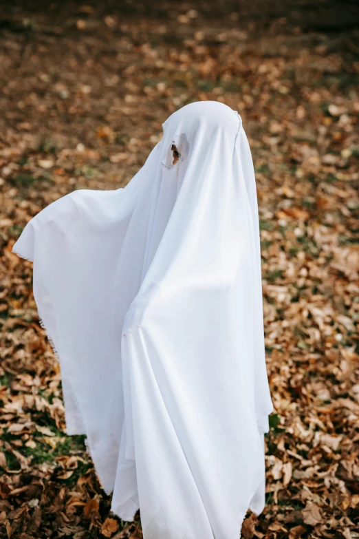 a ghost standing in a field of leaves, an album cover, trending on unsplash, full costume, white cloth, ( ( theatrical ) ), blank