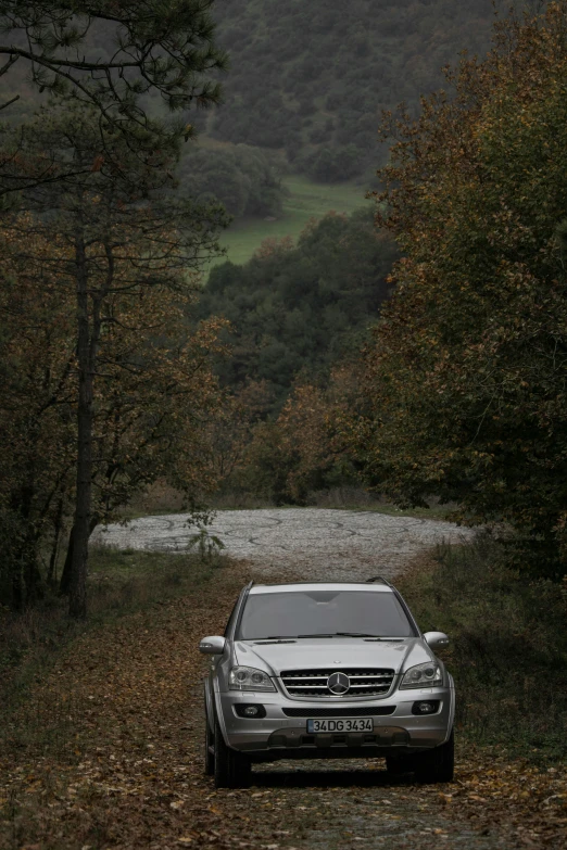 a car parked on the side of a dirt road, renaissance, grey forest in the background, mercedez benz, autum, ox