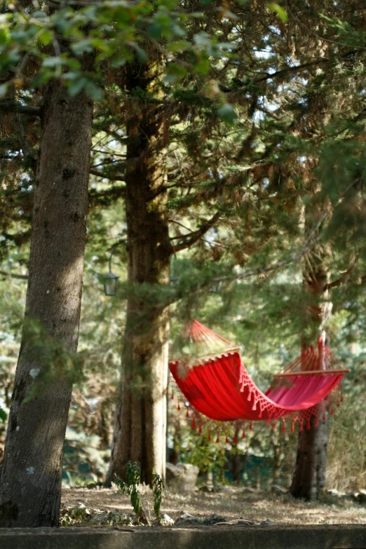 a red hammock hanging between two trees, arabesque, in avila pinewood, unwind!, exterior shot, sunlit