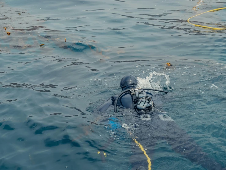 a man in a wet suit swimming in the ocean, dredged seabed, promo image, head down, professional work