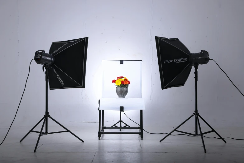 a couple of lights sitting next to a vase of flowers, a portrait, by Robbie Trevino, art photography, studio setup, light box, white backdrop, professional photo-n 3