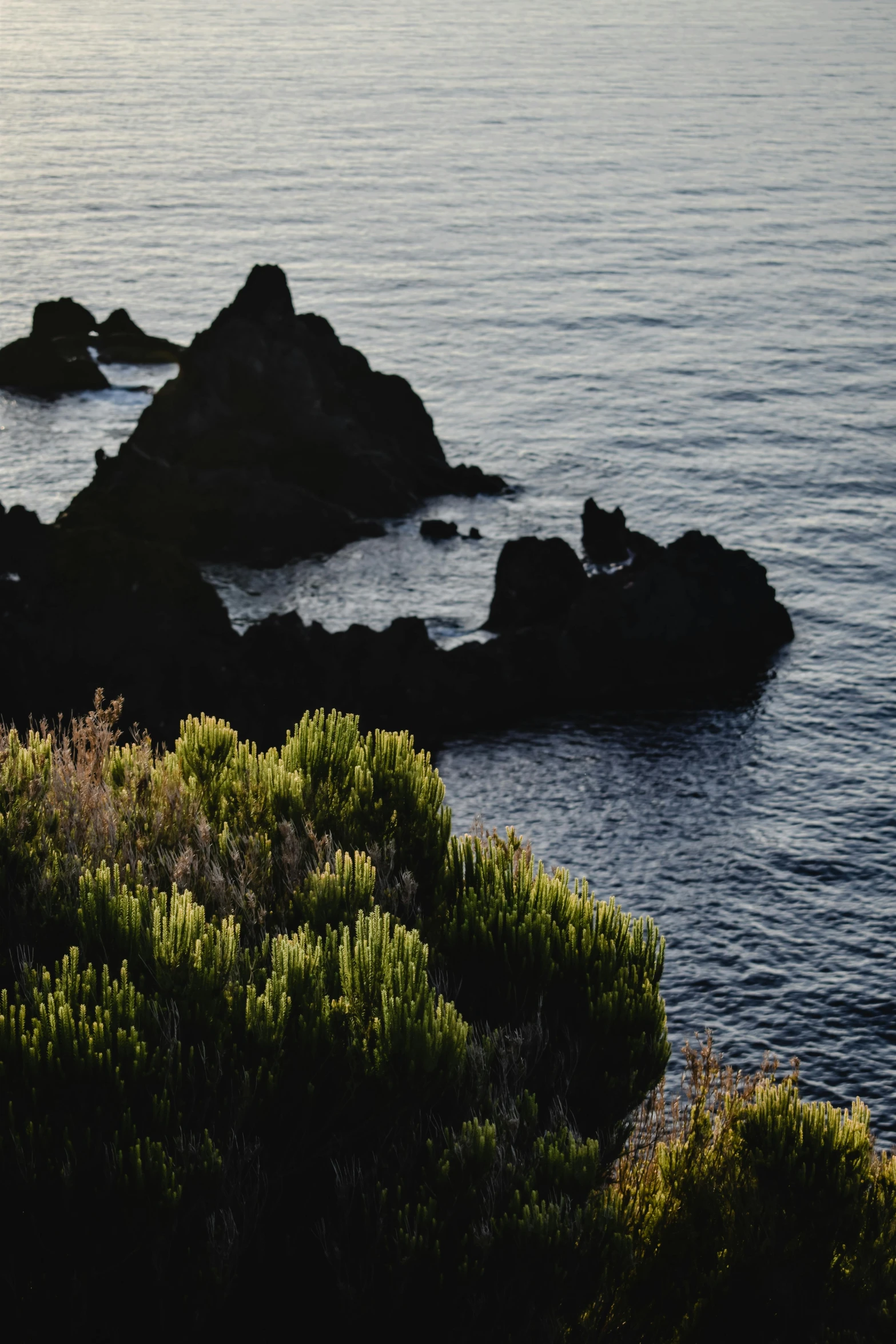 a couple of rocks sitting on top of a lush green hillside, a picture, by Elsa Bleda, unsplash, dark ocean water, in spain, chile, sea plants