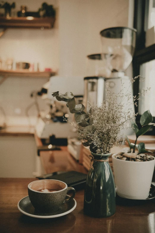 a cup of coffee sitting on top of a wooden table, a still life, trending on unsplash, inside a cluttered kitchen, flower shop scene, low quality photo, large potted plant