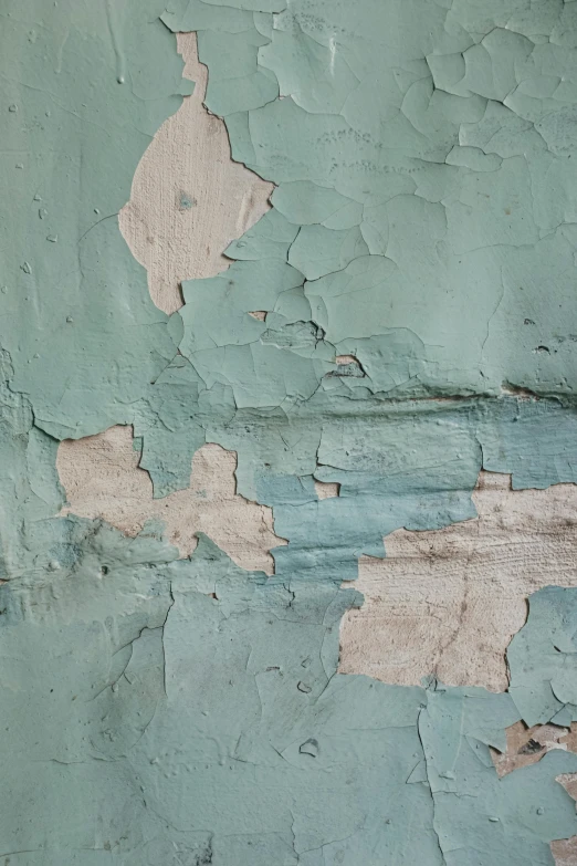 a close up of peeling paint on a wall, an album cover, inspired by Elsa Bleda, trending on unsplash, muted green, pale bluish skin, july 2 0 1 1, background image