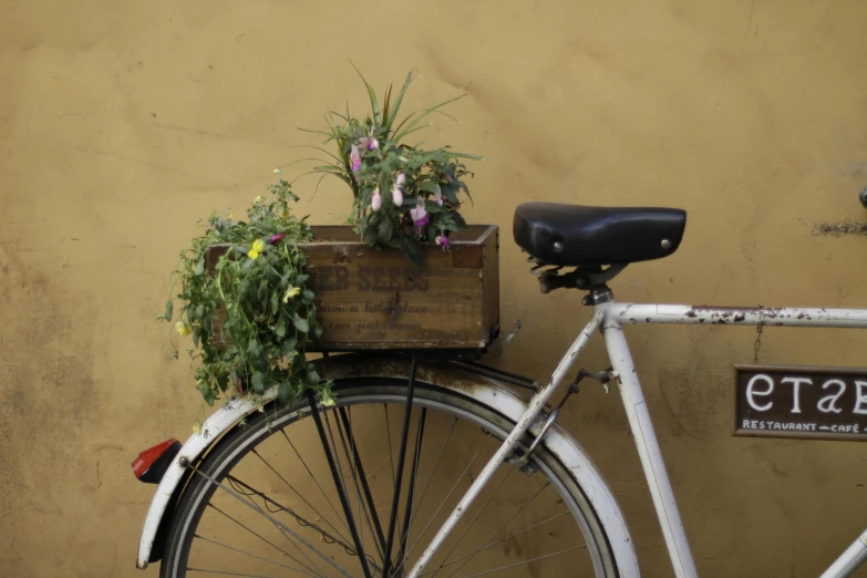 a white bicycle parked next to a yellow wall, inspired by Jacopo Bassano, herbs, cardboard, handcrafted, rustic