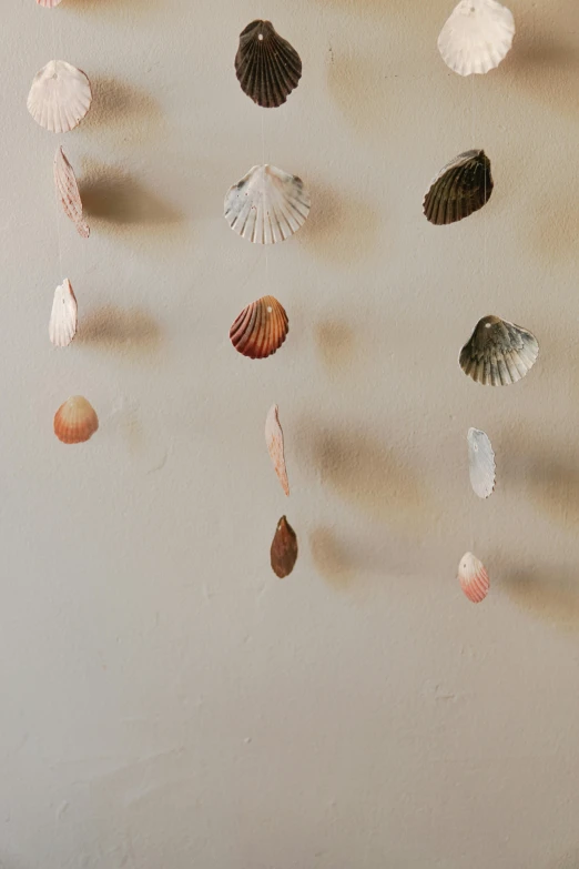 a bunch of seashells hanging on a wall, by Rachel Reckitt, kinetic art, 2 0 1 0 s, monia merlo, wall mural